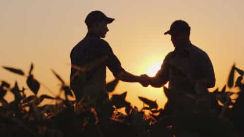 Two farmers shaking hands in the field after taking an Agris Academy Course on how to become a farmer